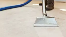 Carpet cleaning wand head gliding over a light carpet during hot-water extraction, San Jose, CA.