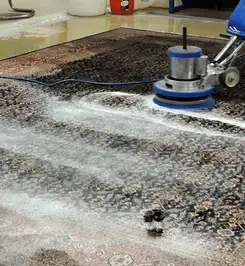 Professional rug cleaning with a rotary floor machine and shampoo foam, deep-cleaning an area rug San Jose, CA.